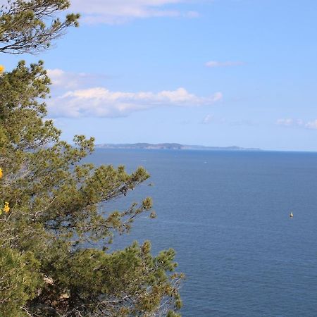 Studio L'Echappee Mandreenne Le Calme Entre Mer Et Foret Saint-Mandrier-sur-Mer Exteriér fotografie