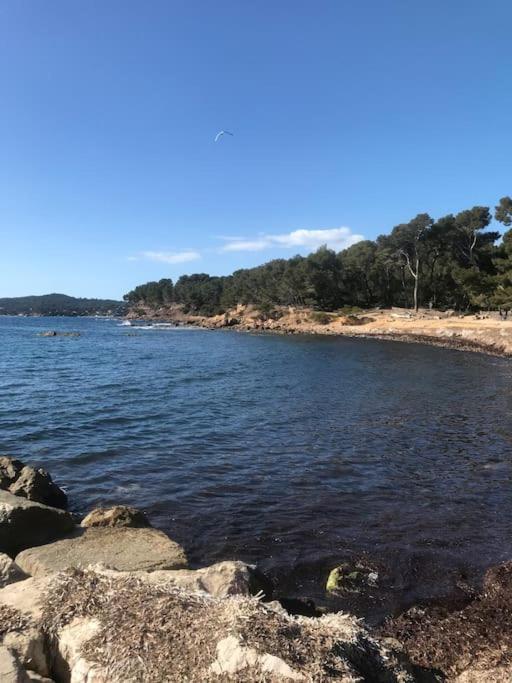 Studio L'Echappee Mandreenne Le Calme Entre Mer Et Foret Saint-Mandrier-sur-Mer Exteriér fotografie