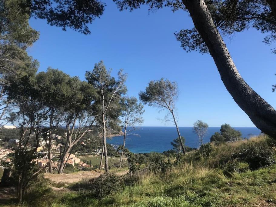 Studio L'Echappee Mandreenne Le Calme Entre Mer Et Foret Saint-Mandrier-sur-Mer Exteriér fotografie