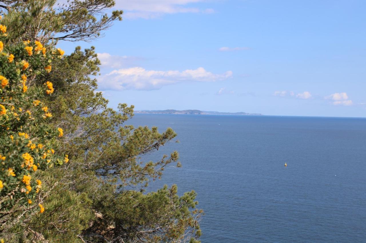 Studio L'Echappee Mandreenne Le Calme Entre Mer Et Foret Saint-Mandrier-sur-Mer Exteriér fotografie